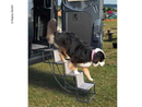 Faltbare Hundetreppe Rampe für Tiere bis 30kg, 4 Stufen Einstiegshilfe Metall – Reimo