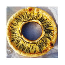 OMNIA Kochbuch- Auflauf, Quiche, Pizza & Co. Rezepte - Campingofen Rezeptbuch – Omnia