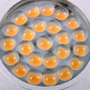 4er Set Einbauspot 24 LED-Deckenleuchte 12v, 220lm, Ø65x11mm – ProPlus