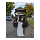 Hunderampe Emma belastbar bis 40kg Tiereinstiegshilfe für PKW Busse Vans Camping – Reimo