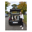 Hunderampe Emma belastbar bis 40kg Tiereinstiegshilfe für PKW Busse Vans Camping – Reimo